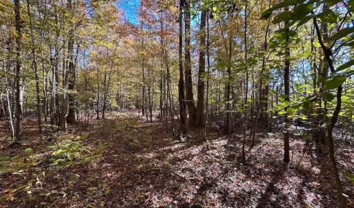 Photo #9 of Gibbs Road, Knotts Island, NC
