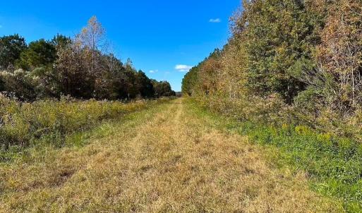 Photo #3 of Gibbs Road, Knotts Island, NC