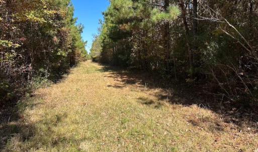 Photo #16 of Gibbs Road, Knotts Island, NC