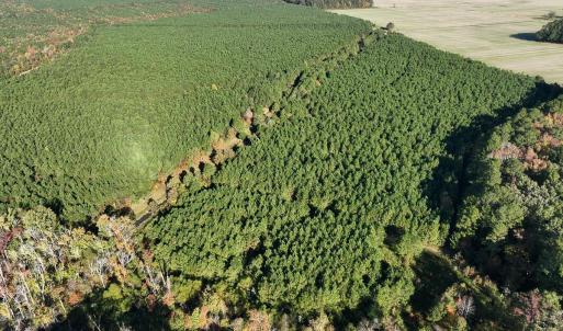 Photo #20 of Gibbs Road, Knotts Island, NC
