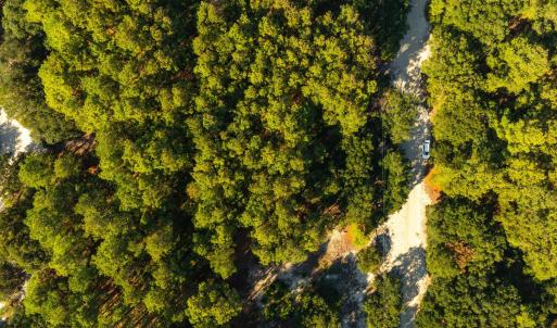 Photo #5 of 2312 False Cape Road, Corolla, NC