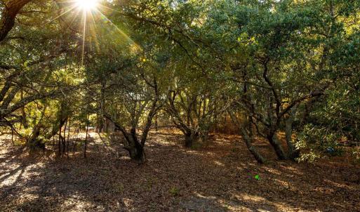 Photo #9 of 2312 False Cape Road, Corolla, NC