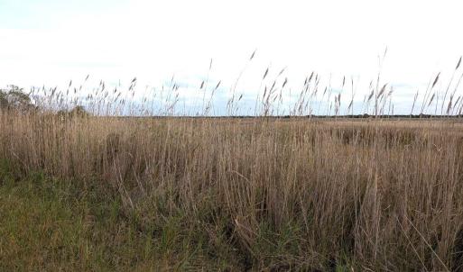 Photo #3 of 231 Jackson Circle, Ocracoke, NC 0.2 acres