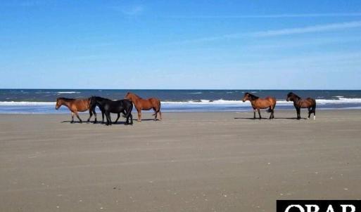 Photo #2 of 1647 Sandfiddler Road, Corolla, NC 0.6 acres