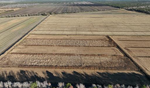 Photo #19 of Off Highway 264, Swan Quarter, NC