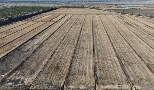 Photo #11 of Off Highway 264, Swan Quarter, NC