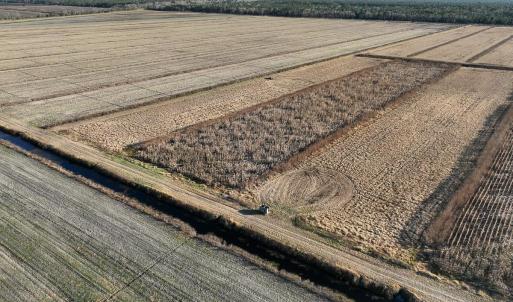 Photo #31 of Off Highway 264, Swan Quarter, NC