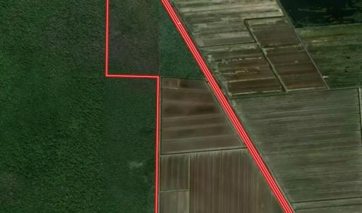 Photo #1 of Off Highway 264, Swan Quarter, NC