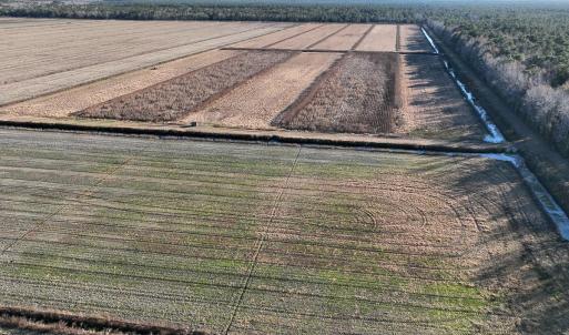 Photo #29 of Off Highway 264, Swan Quarter, NC