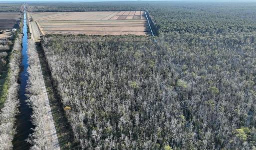 Photo #25 of Off Highway 264, Swan Quarter, NC