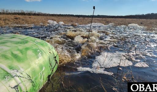 Photo #18 of Off Highway 264, Swan Quarter, NC