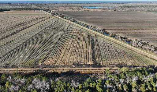 Photo #9 of Off Highway 264, Swan Quarter, NC