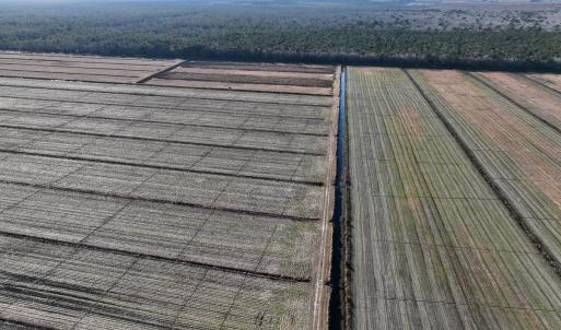 Photo #5 of Off Highway 264, Swan Quarter, NC