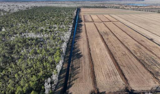 Photo #14 of Off Highway 264, Swan Quarter, NC