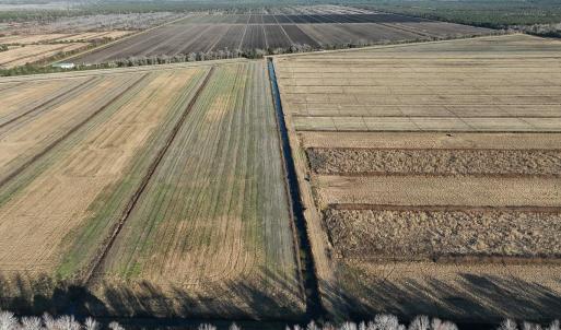 Photo #20 of Off Highway 264, Swan Quarter, NC