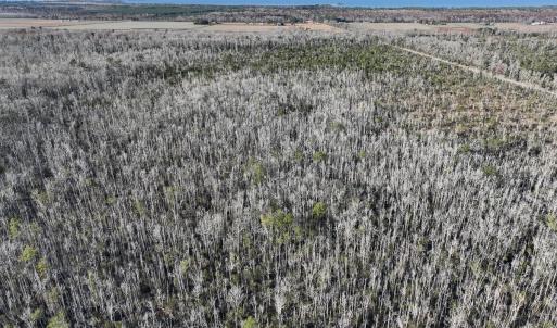 Photo #24 of Off Highway 264, Swan Quarter, NC