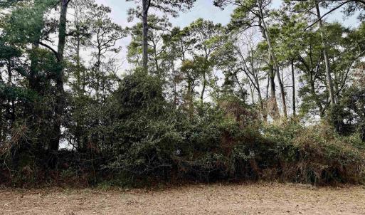 View of the lot from Sunrise Ln