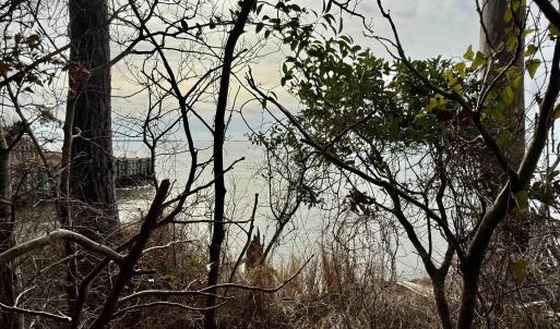 Photo #5 of 128 Sunrise Lane, Kill Devil Hills, NC