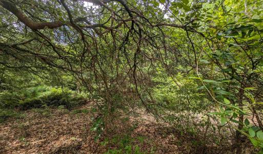 Photo #10 of 2362 Sandpiper Road, Corolla, NC 0.3 acres