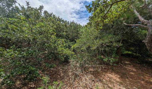 Photo #9 of 2362 Sandpiper Road, Corolla, NC 0.3 acres