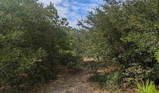 Photo #10 of 2234 Sailfish Road, Corolla, NC