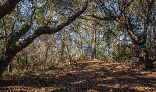 Photo #18 of 269 Hillcrest Drive, Southern Shores, NC 1.2 acres