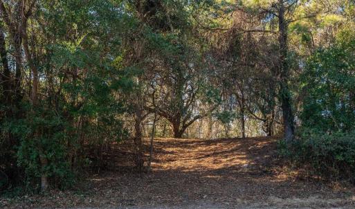 Photo #17 of 269 Hillcrest Drive, Southern Shores, NC 1.2 acres