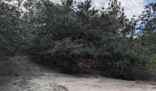 Photo #11 of 2226 Sailfish Road, Corolla, NC