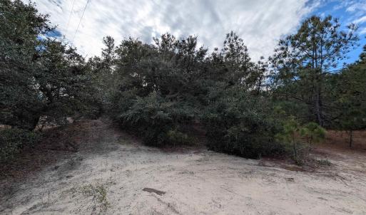 Photo #10 of 2226 Sailfish Road, Corolla, NC