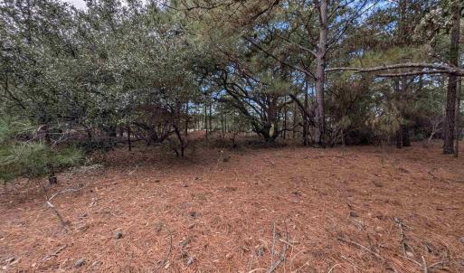 Photo #7 of 2226 Sailfish Road, Corolla, NC