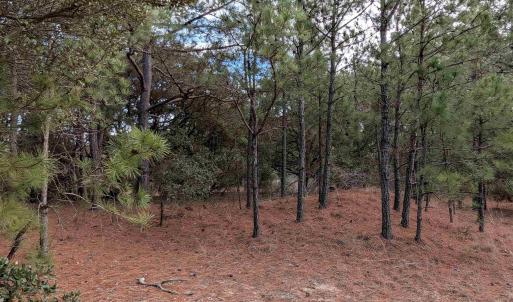 Photo #6 of 2226 Sailfish Road, Corolla, NC