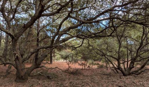 Photo #5 of 2226 Sailfish Road, Corolla, NC