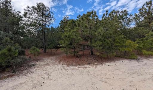 Photo #9 of 2226 Sailfish Road, Corolla, NC