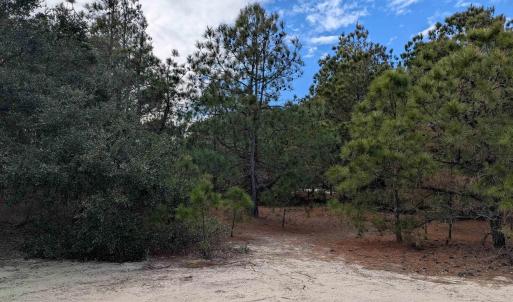 Photo #12 of 2226 Sailfish Road, Corolla, NC