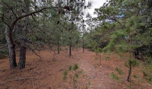 Photo #8 of 2226 Sailfish Road, Corolla, NC