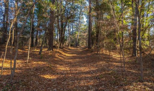 Walk or Drive Through