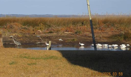 Photo #36 of 118 Dolphin Court, Grandy, NC
