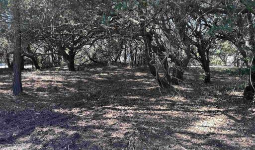 Photo #10 of 970 Harbor View, Corolla, NC 0.2 acres