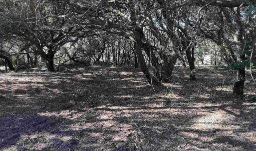 Photo #3 of 970 Harbor View, Corolla, NC 0.2 acres