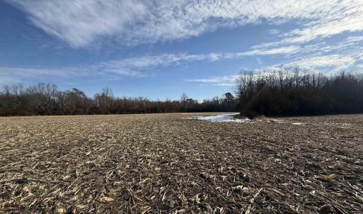 Photo #1 of NC HWY 32, Roper, NC