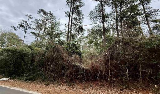 Photo #2 of Holly Ridge Road, Manteo, NC