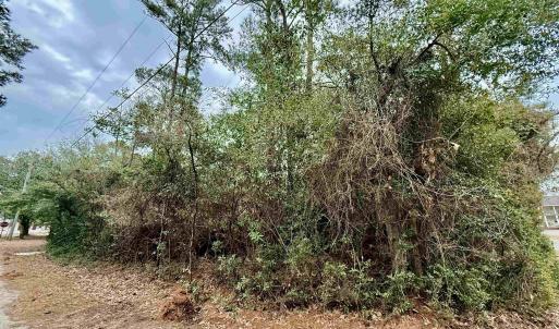 Photo #1 of Holly Ridge Road, Manteo, NC