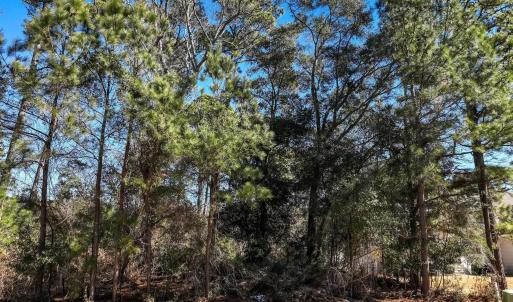 Photo #5 of 3005 Martins Point Road, Kitty Hawk, NC