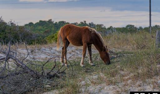 Photo #12 of 574 Live Oak Court, Corolla, NC 0.5 acres