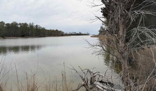 Photo #1 of 12 Sessoms Drive, Scranton, NC 8.5 acres