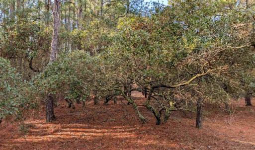 Photo #8 of 2368 Swan Island Road, Corolla, NC 0.3 acres