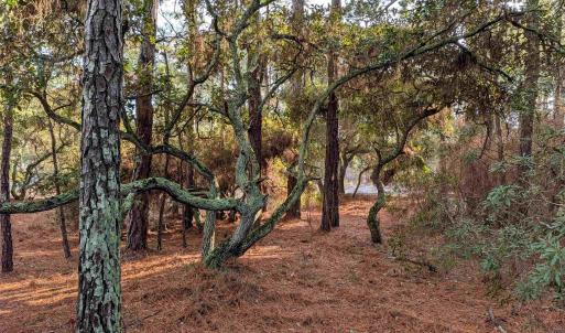 Photo #12 of 2368 Swan Island Road, Corolla, NC 0.3 acres