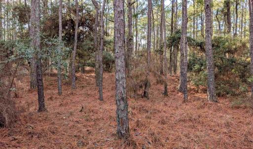 Photo #11 of 2368 Swan Island Road, Corolla, NC 0.3 acres