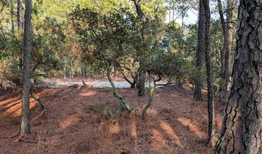 Photo #4 of 2368 Swan Island Road, Corolla, NC 0.3 acres