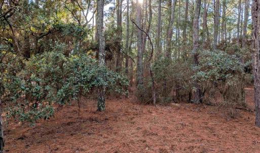 Photo #10 of 2368 Swan Island Road, Corolla, NC 0.3 acres